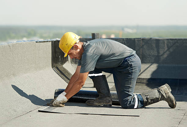 Best Geographic-Specific Insulation Services in Mount Morris, MI