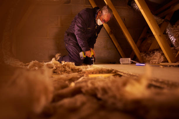 Best Insulation Maintenance and Repair in Mount Morris, MI